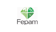 FEPAM